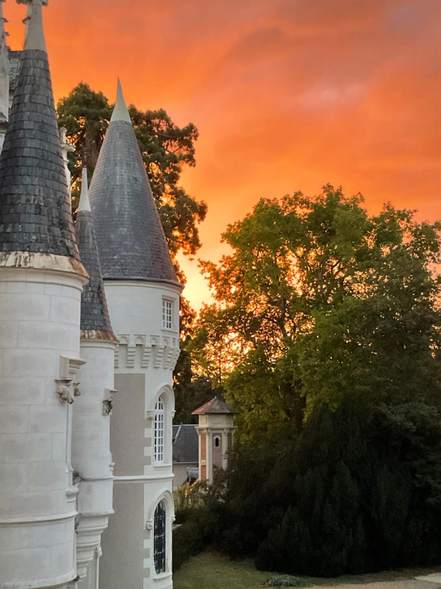 Château de Beauvais Azay-sur-Cher Exterior foto